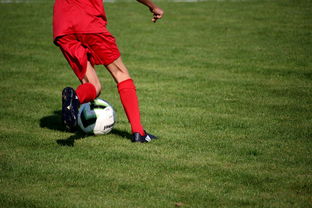 开云体育app官网-NBA球员技术动作进阶训练，nba球员训练方式