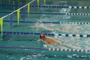 开云体育链接-国际游泳精英赛中国队多人破纪录，国际游泳冠军系列赛